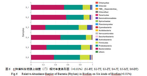 填料生物膜上細(xì)菌