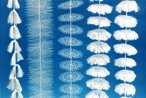 ��֮Դ����